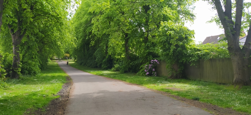 Corstorphine Hill Cemetery